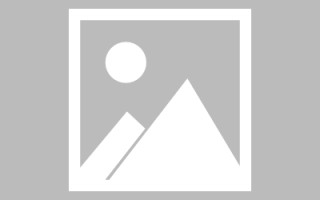 威海赤水网站搭建代理品牌（赤水门户网站招标网）